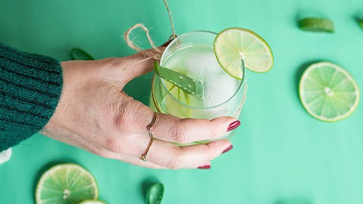 connaissez vous l aloe vera frais